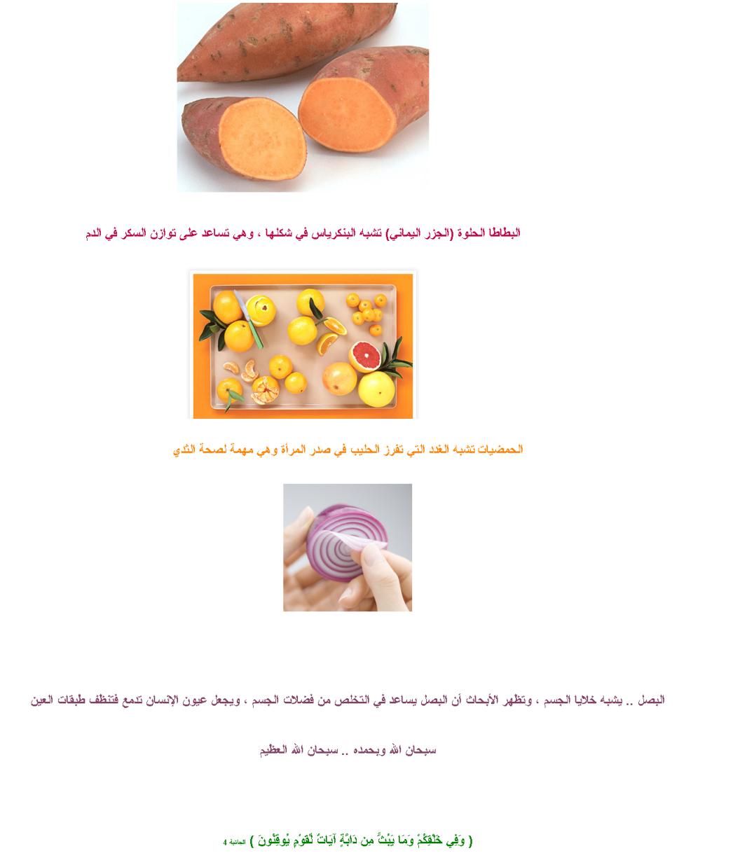 120.JPG Hosting at Sudaneseonline.com