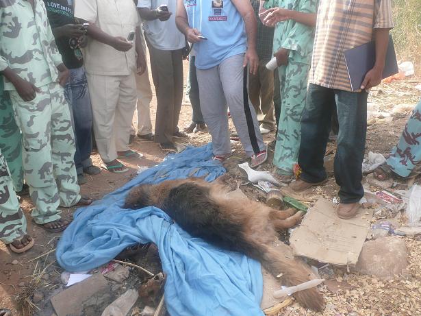 685.JPG Hosting at Sudaneseonline.com