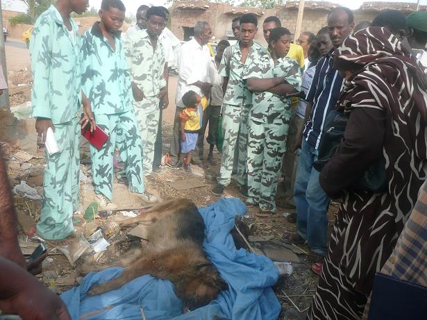 688.JPG Hosting at Sudaneseonline.com