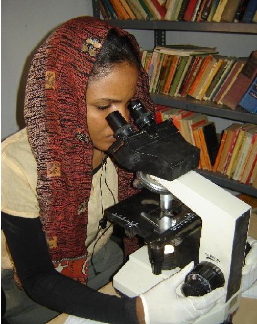 DSC00866.JPG Hosting at Sudaneseonline.com