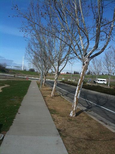 NewImage.JPG Hosting at Sudaneseonline.com