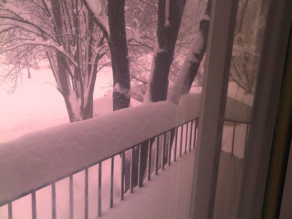 dddd1.JPG Hosting at Sudaneseonline.com