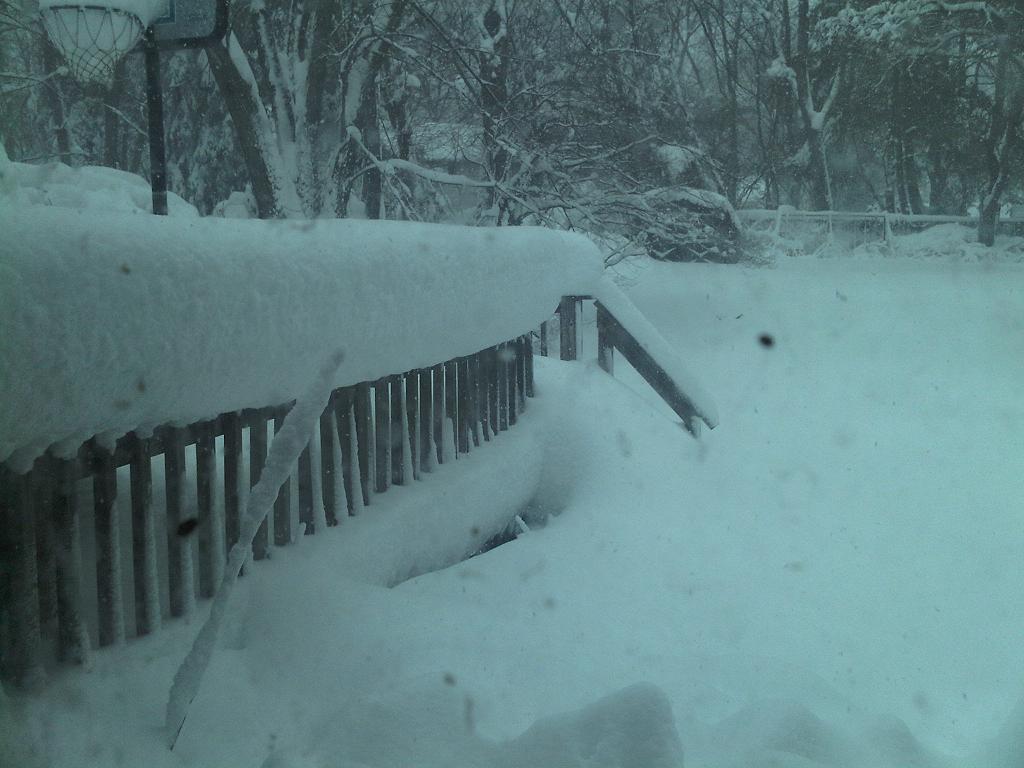 fff2.JPG Hosting at Sudaneseonline.com