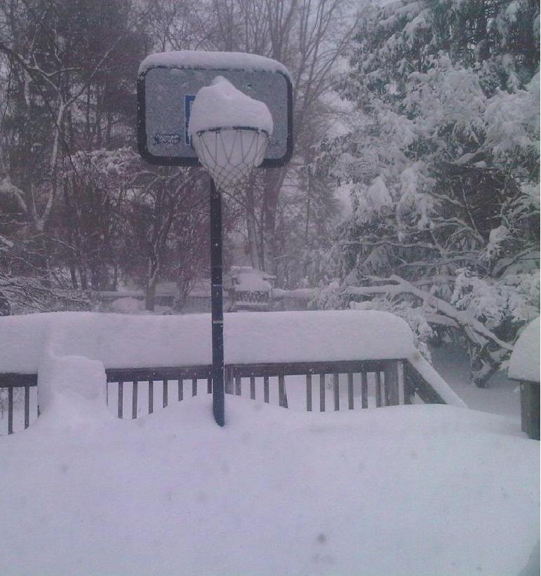 nasr2.JPG Hosting at Sudaneseonline.com