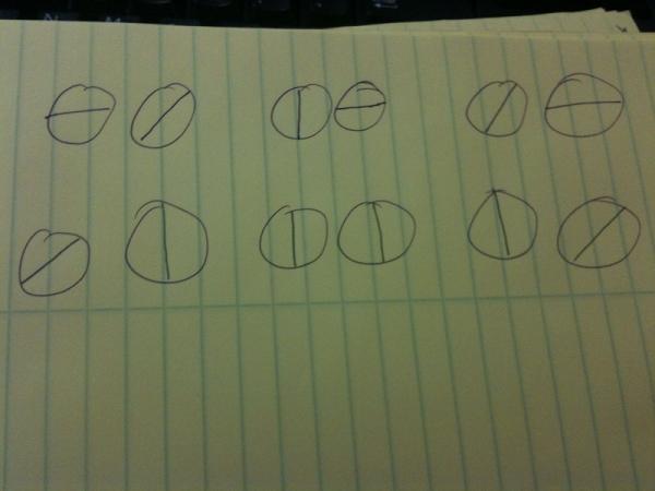 photo.JPG Hosting at Sudaneseonline.com