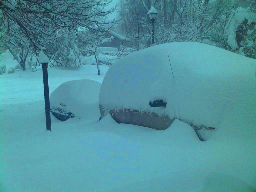 ssss.JPG Hosting at Sudaneseonline.com