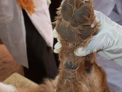 sudansudansudansudansudansudansudansudansudansudansudan2.bmp Hosting at Sudaneseonline.com