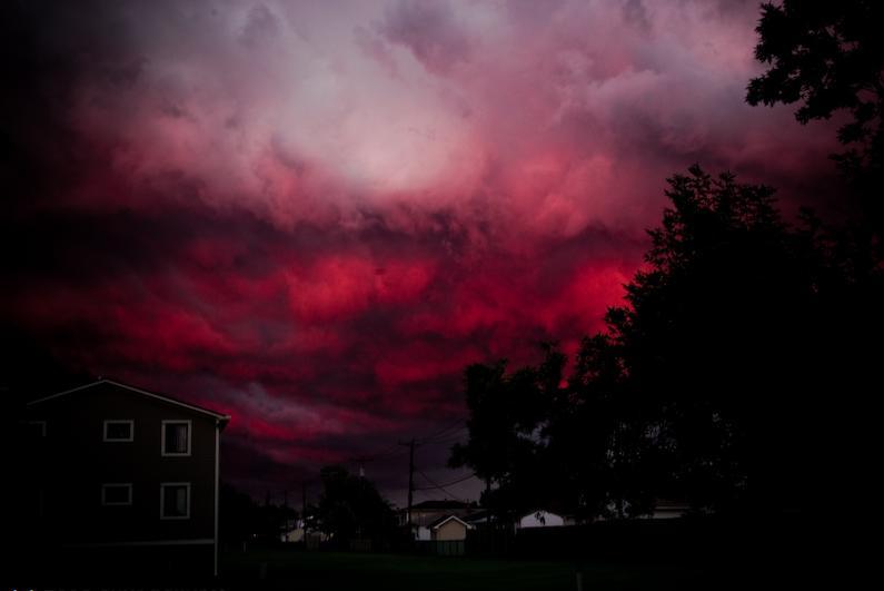 thanks.JPG Hosting at Sudaneseonline.com