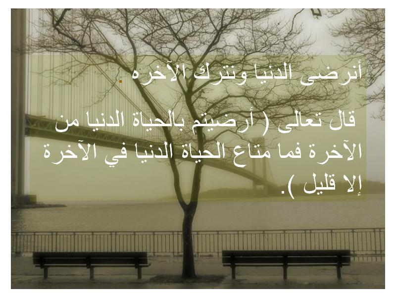 untitled104.JPG Hosting at Sudaneseonline.com