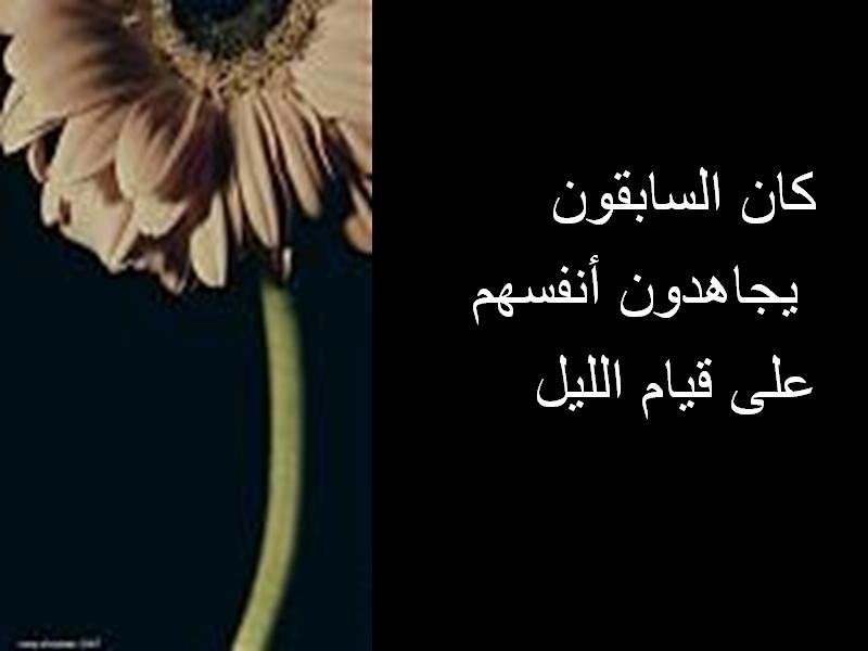 untitled105.JPG Hosting at Sudaneseonline.com