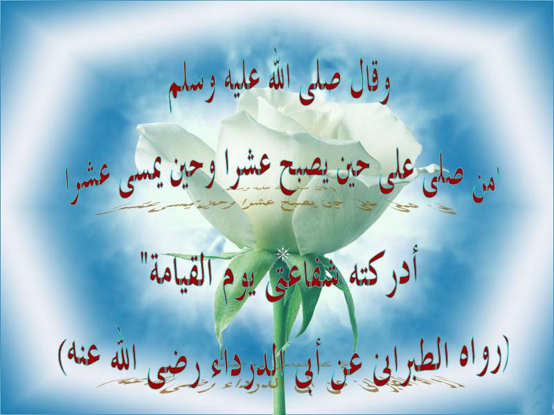 untitled37.JPG Hosting at Sudaneseonline.com