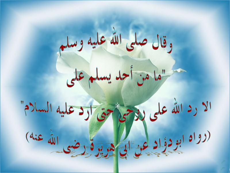 untitled39.JPG Hosting at Sudaneseonline.com