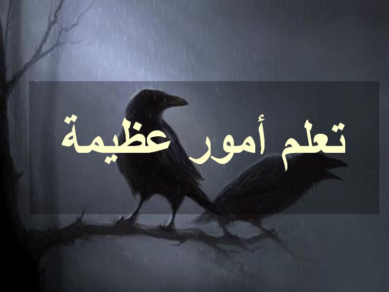 untitled53.JPG Hosting at Sudaneseonline.com