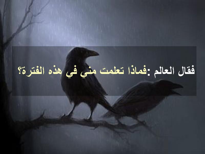 untitled55.JPG Hosting at Sudaneseonline.com