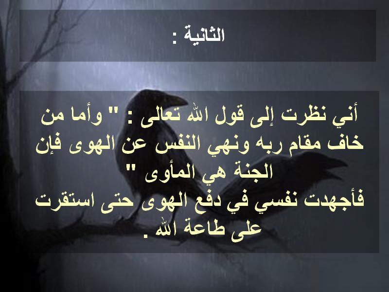 untitled59.JPG Hosting at Sudaneseonline.com