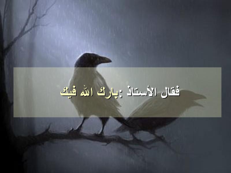 untitled66.JPG Hosting at Sudaneseonline.com