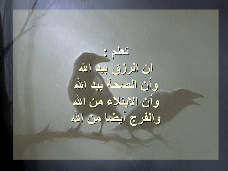 untitled67.JPG Hosting at Sudaneseonline.com