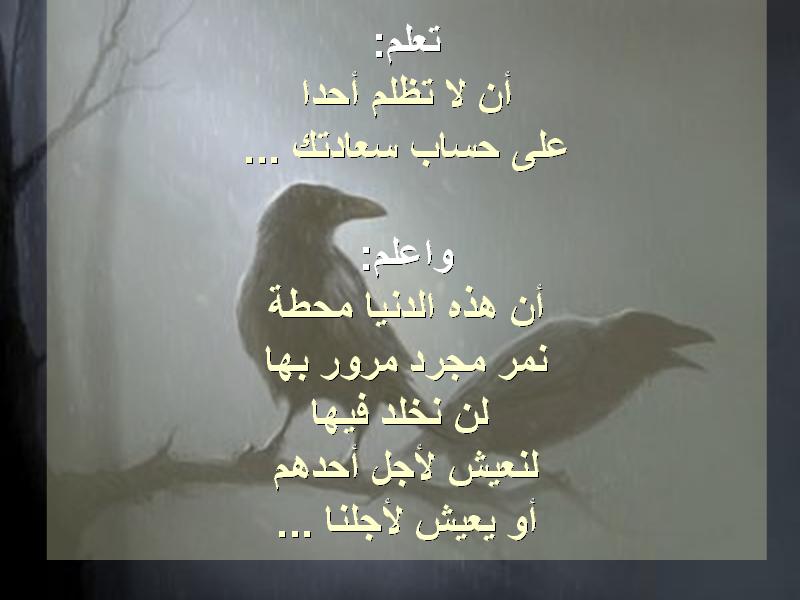 untitled69.JPG Hosting at Sudaneseonline.com