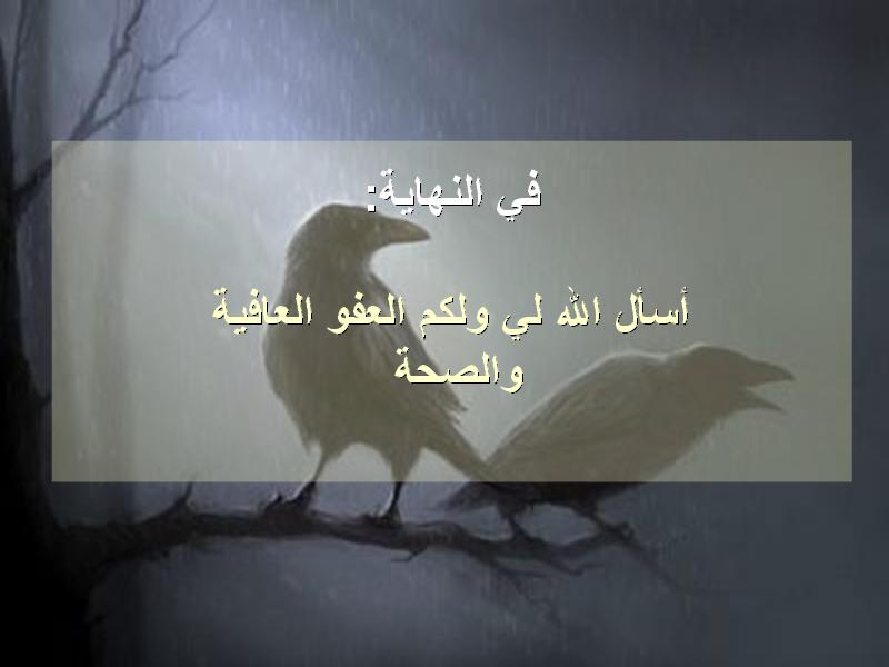 untitled71.JPG Hosting at Sudaneseonline.com