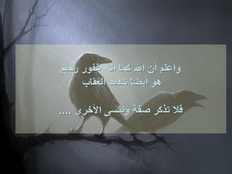 untitled72.JPG Hosting at Sudaneseonline.com