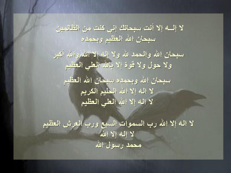 untitled73.JPG Hosting at Sudaneseonline.com