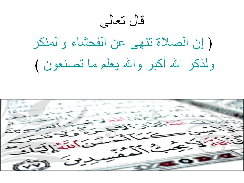 untitled98.JPG Hosting at Sudaneseonline.com