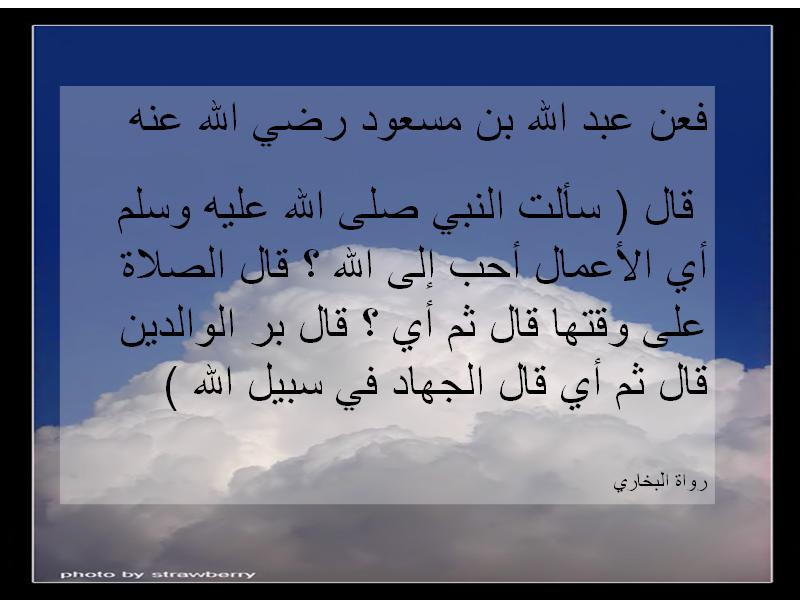 untitled99.JPG Hosting at Sudaneseonline.com