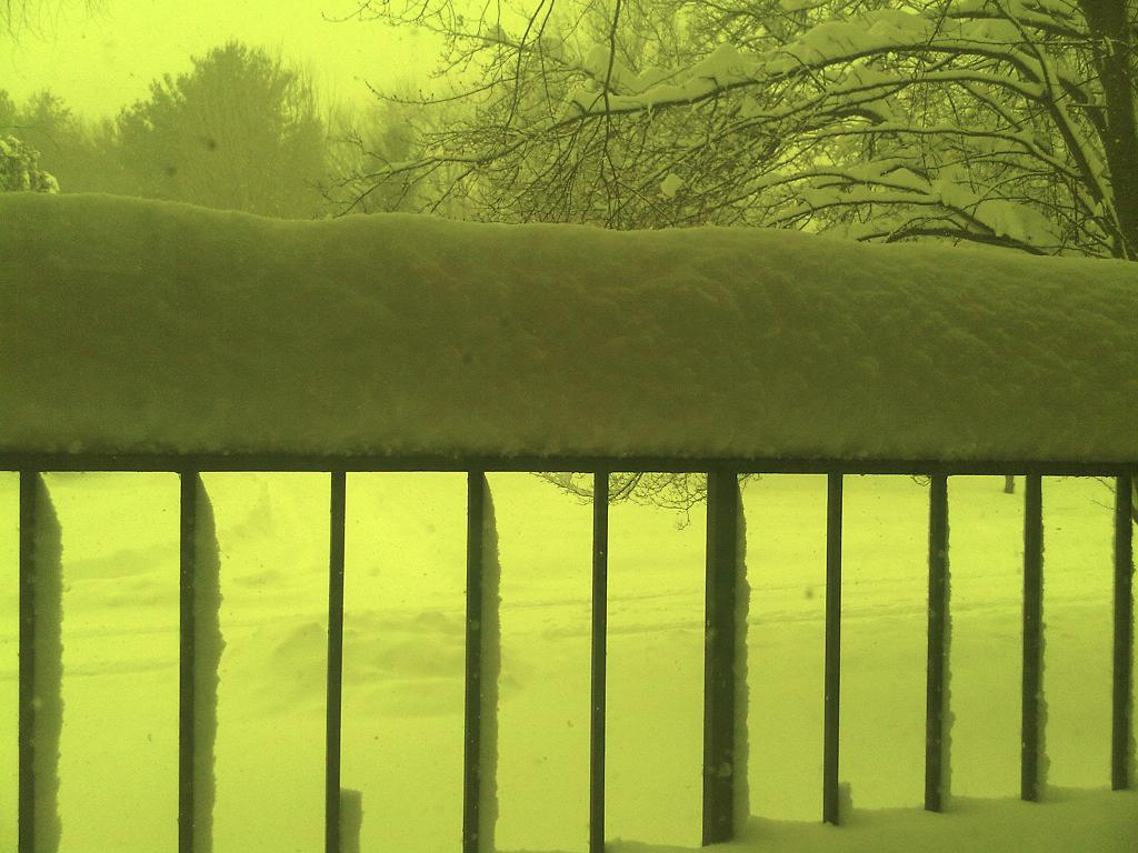 w1.JPG Hosting at Sudaneseonline.com