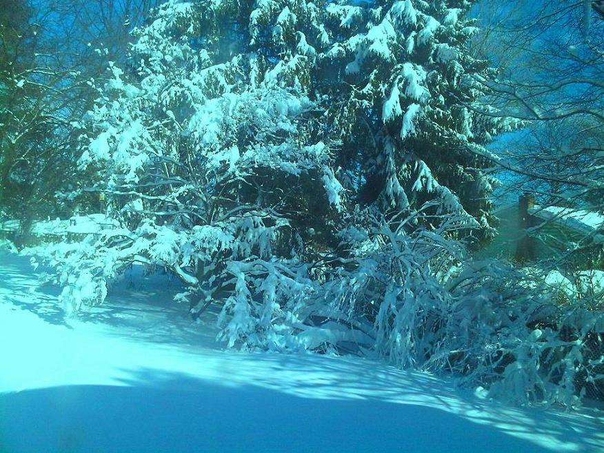 w2222.JPG Hosting at Sudaneseonline.com