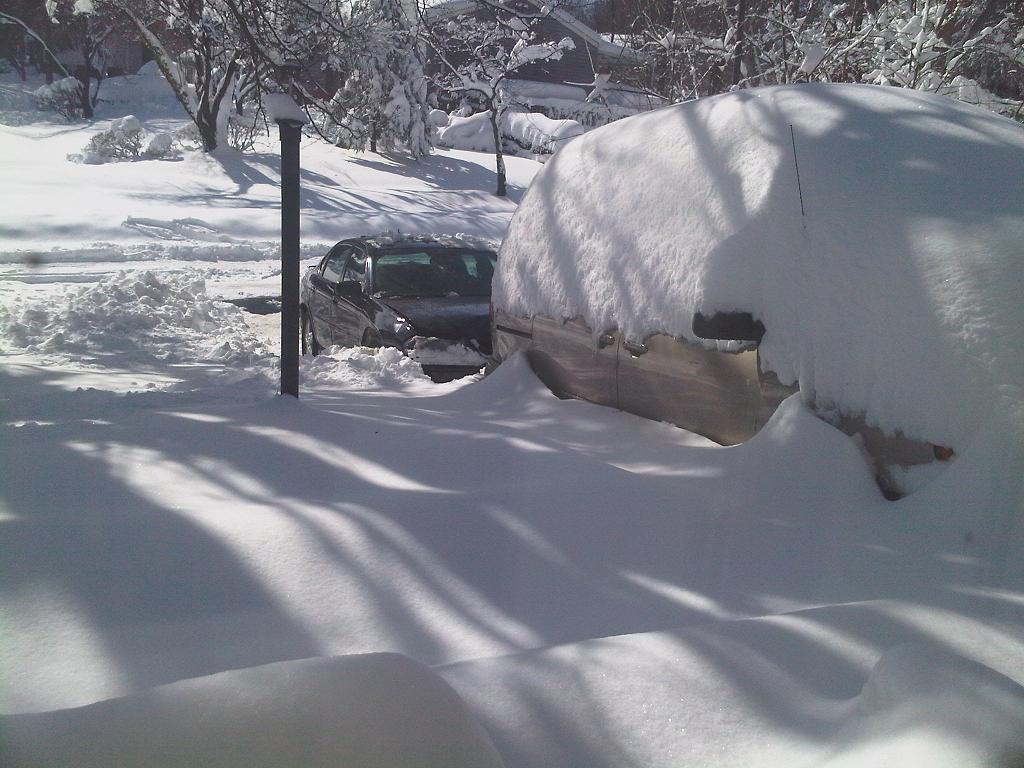 w311.JPG Hosting at Sudaneseonline.com