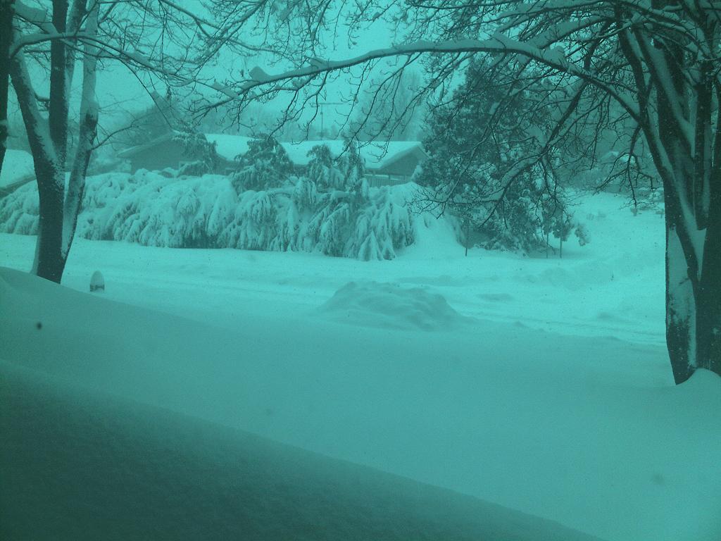 ws.JPG Hosting at Sudaneseonline.com