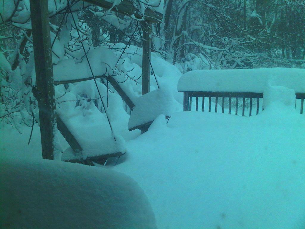 www1.JPG Hosting at Sudaneseonline.com