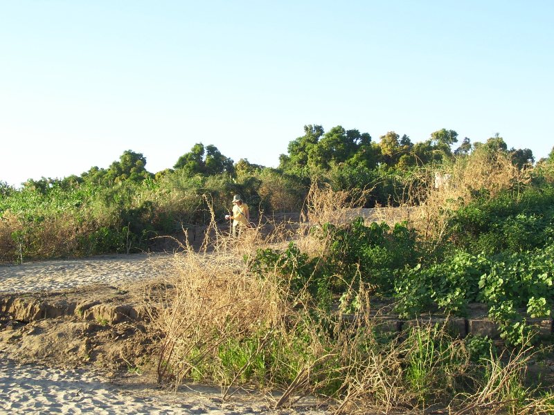 100_0806.JPG Hosting at Sudaneseonline.com