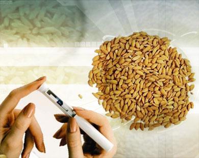 1137.JPG Hosting at Sudaneseonline.com