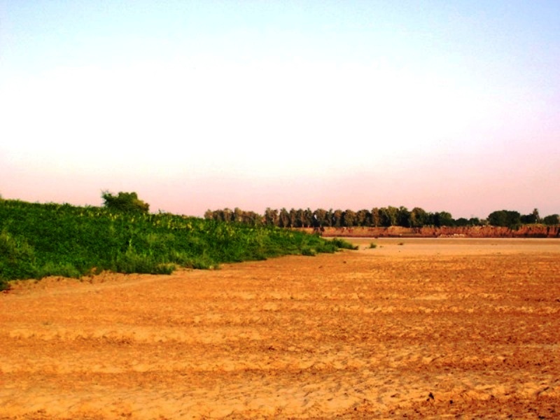 1sudan693sudan.JPG Hosting at Sudaneseonline.com