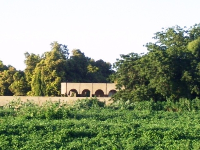 1sudan696sudan1.JPG Hosting at Sudaneseonline.com