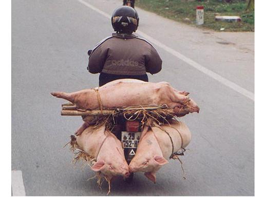 564.JPG Hosting at Sudaneseonline.com