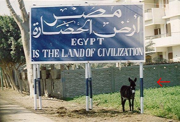 692.JPG Hosting at Sudaneseonline.com