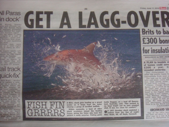 DSC01217.JPG Hosting at Sudaneseonline.com