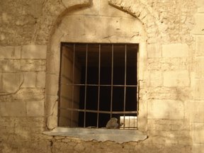 DSC01222.JPG Hosting at Sudaneseonline.com