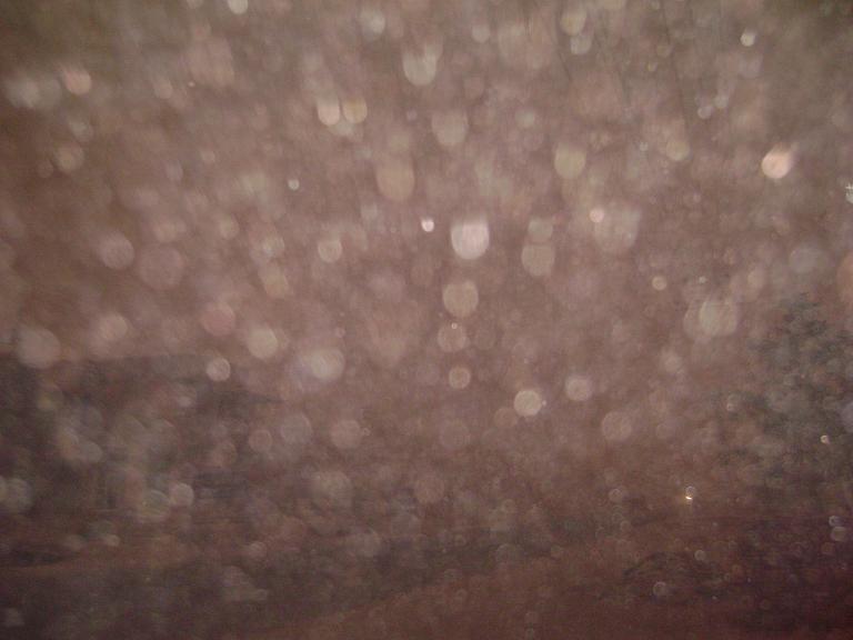 DSC06705.JPG Hosting at Sudaneseonline.com