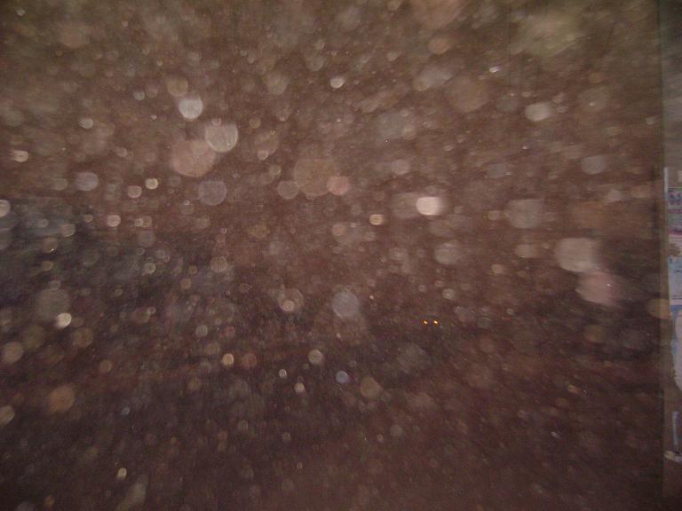 DSC06707.JPG Hosting at Sudaneseonline.com