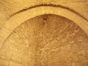 DSC66.JPG Hosting at Sudaneseonline.com