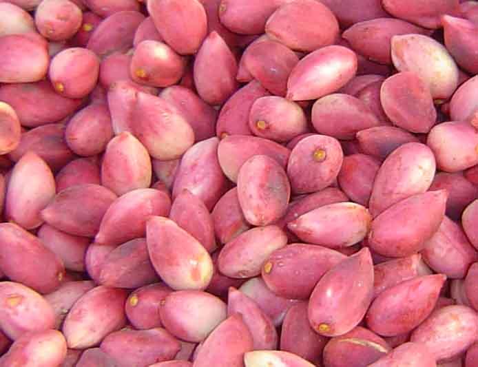 F3.JPG Hosting at Sudaneseonline.com