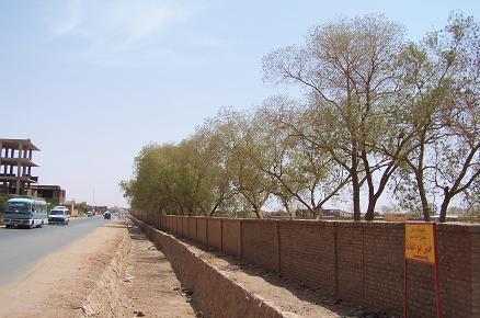 Hassan1.JPG Hosting at Sudaneseonline.com