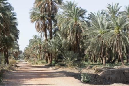 IMG_4990.JPG Hosting at Sudaneseonline.com