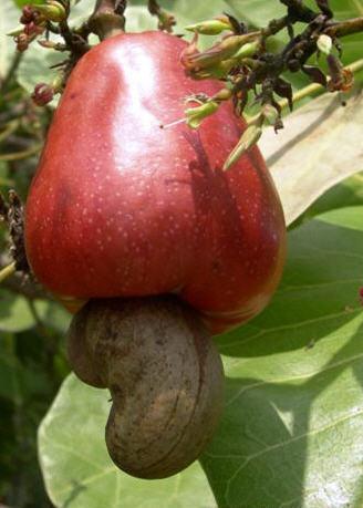 K5.JPG Hosting at Sudaneseonline.com