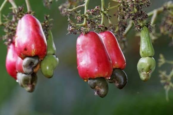 K6.JPG Hosting at Sudaneseonline.com