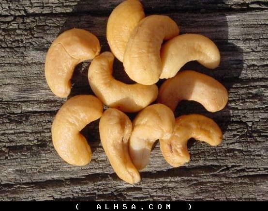 K7.JPG Hosting at Sudaneseonline.com