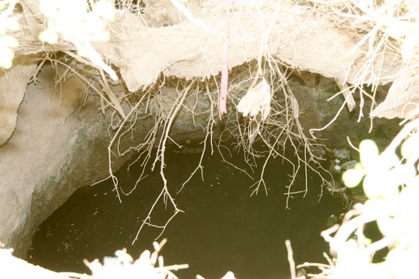 _MAD7762.JPG Hosting at Sudaneseonline.com